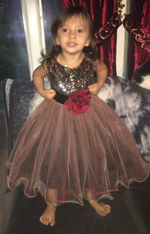 Kid's Dream Spotlight: From Mom's to Grandma Review