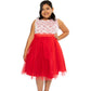 Dress - Stretch Lace & Tulle Girls Plus Size Dress