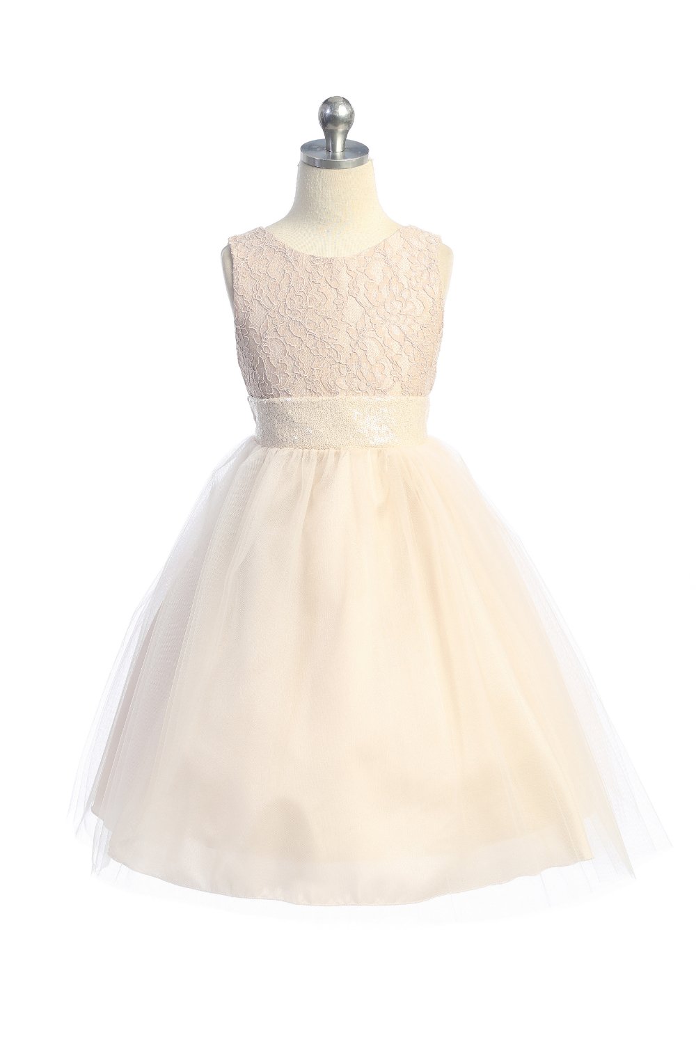 Dress - Lace Sequin Back V Dress