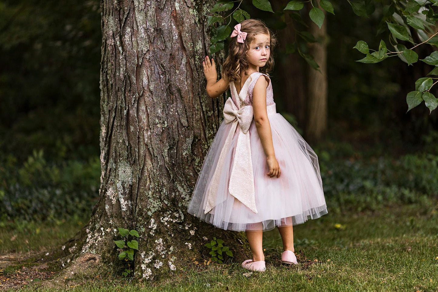 Dress - Lace Sequin Back V Dress