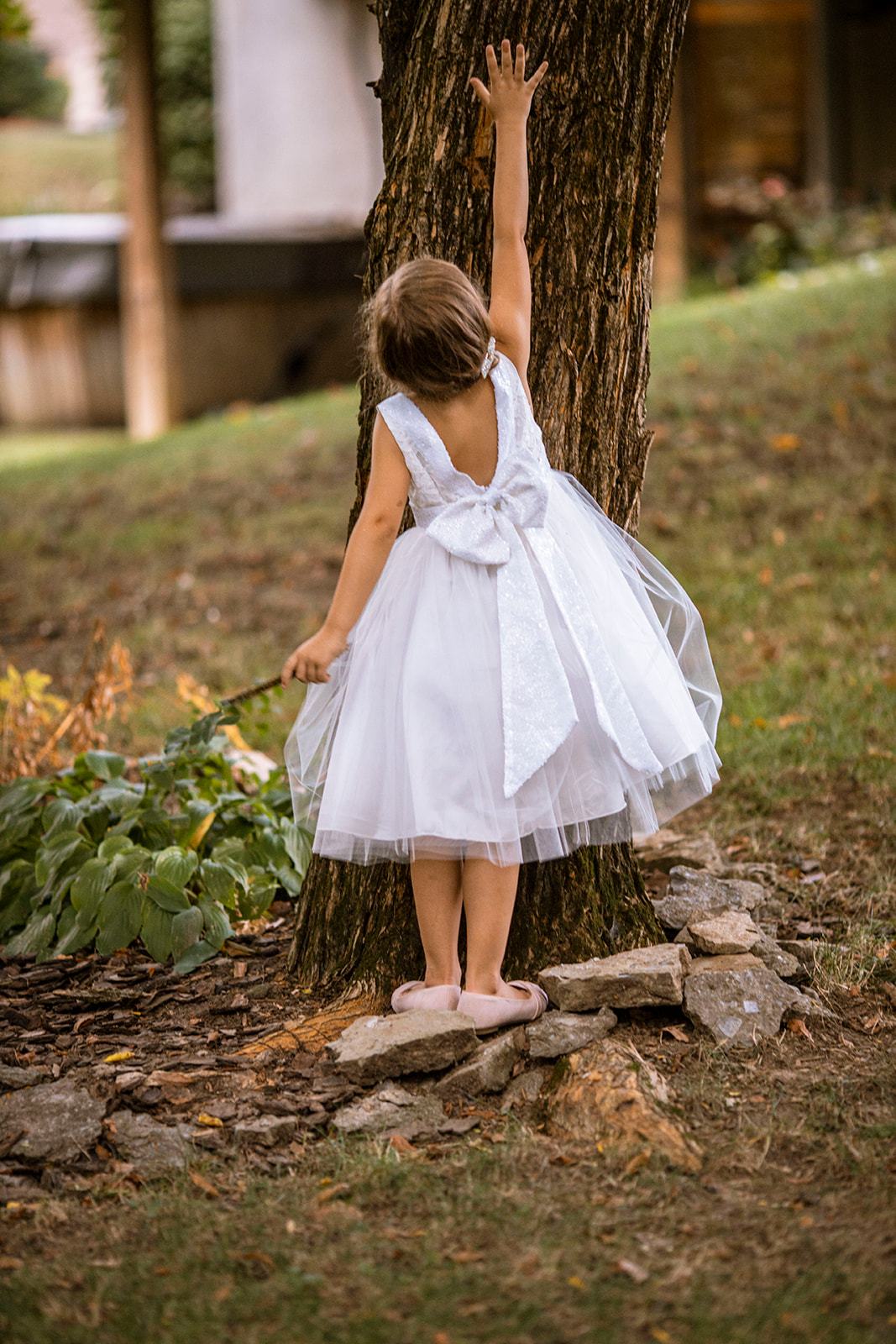 Dress - Lace Sequin Back V Dress