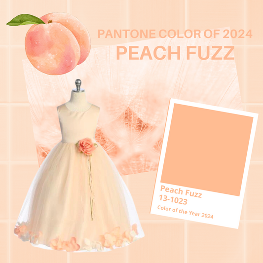 Embracing Elegance: Exploring Pantone's Color of the Year 2024 - Peach Fuzz