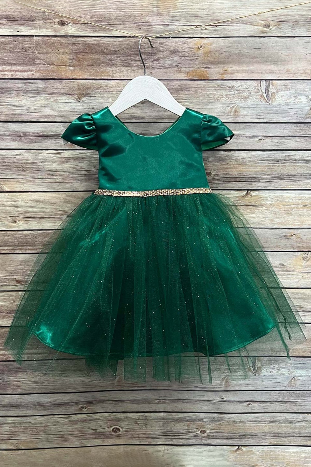 Regina Satin Tulle Baby Dress with Capped Sleeves and Swirl Rhinesto Kid s Dream