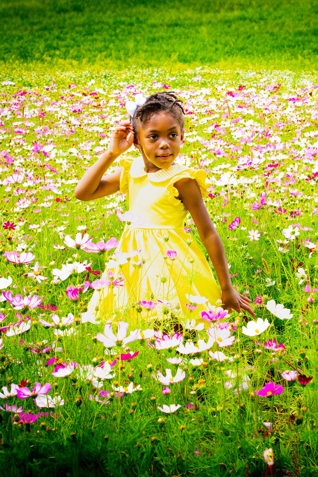 Picnic Twirl Cotton Dress