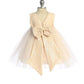 Dress - Lace Sequin Back V Baby Dress