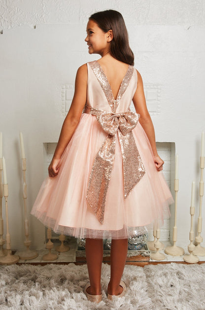 Dress - Rose Gold Sequin Back V Dress