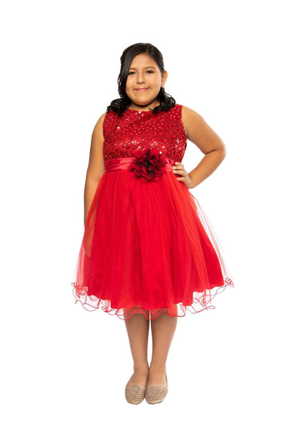 Dress - Sequin Girl Party Plus Size Girl Dress