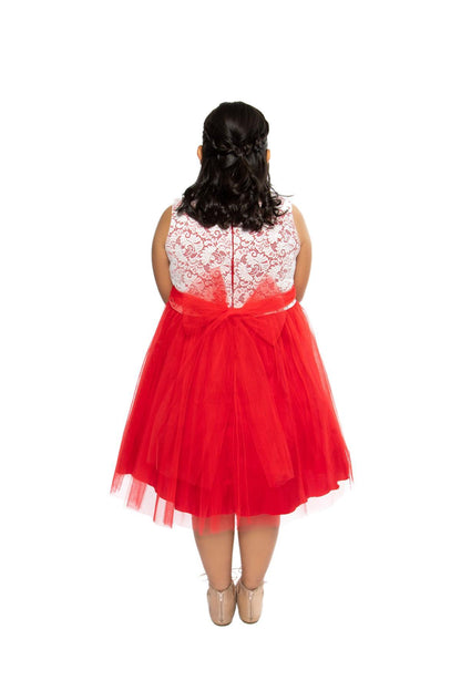 Dress - Stretch Lace Tulle Plus Size Girl Dress