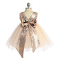 Dress - Vintage Floral Rose Gold Sequin Back V Baby Dress
