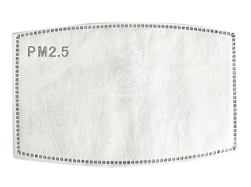 PM2.5 Filter For Face Mask (Pack Of 5)